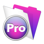 filemaker-pro-13-icon
