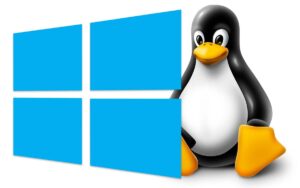 Windows Linux